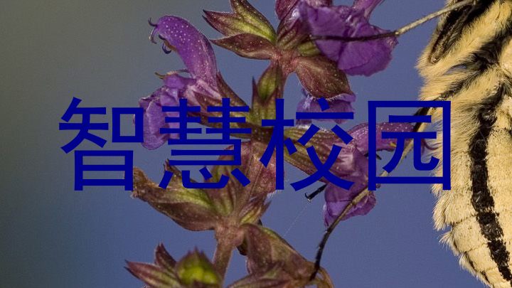 智慧校园