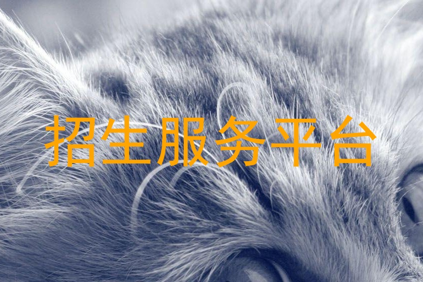招生服务平台