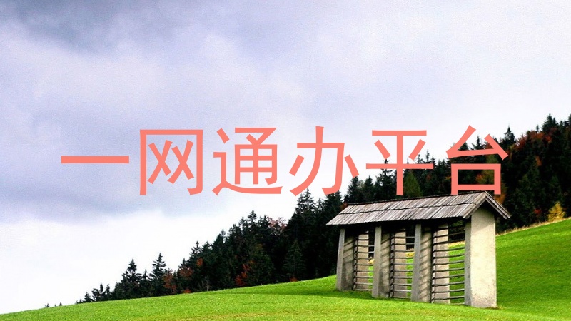 一网通办平台