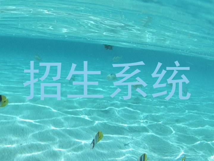 招生系统