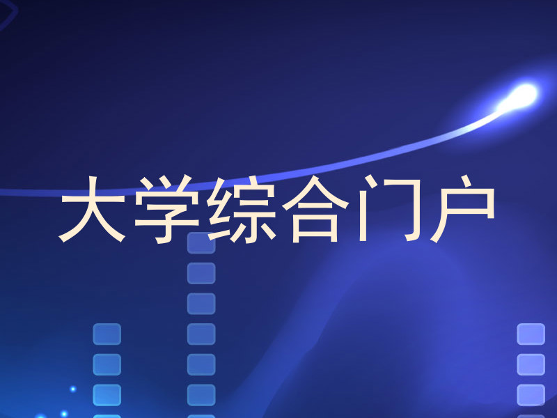 大学综合门户