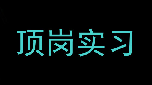 顶岗实习
