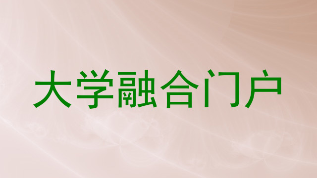 大学融合门户