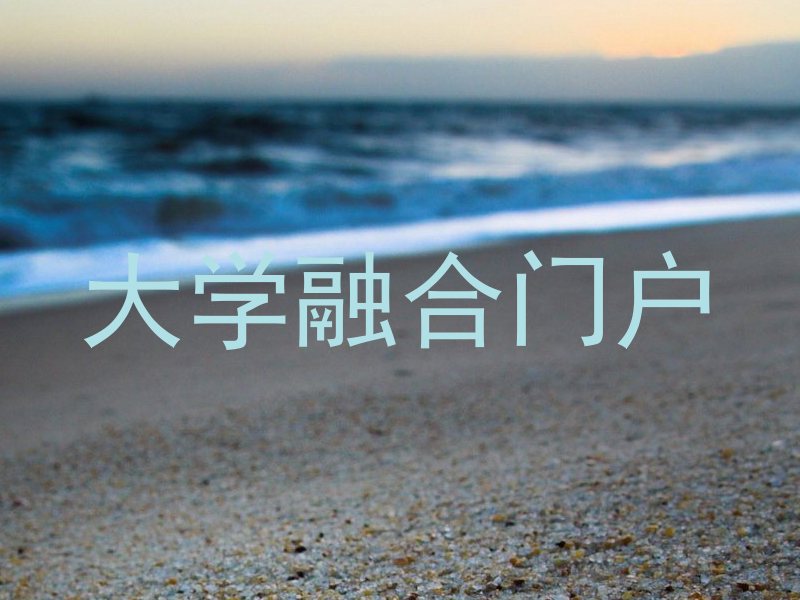 大学融合门户