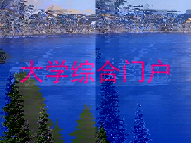大学综合门户