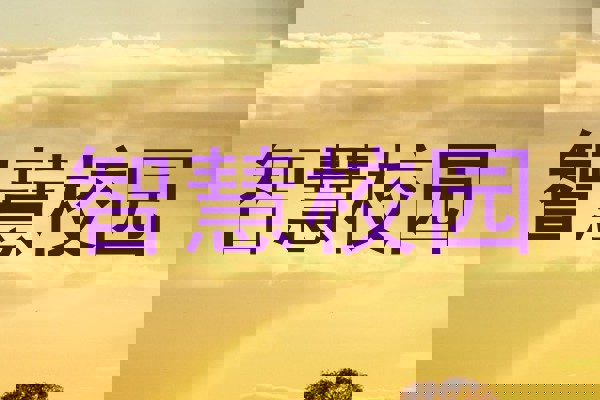 智慧校园