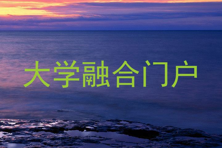 大学融合门户