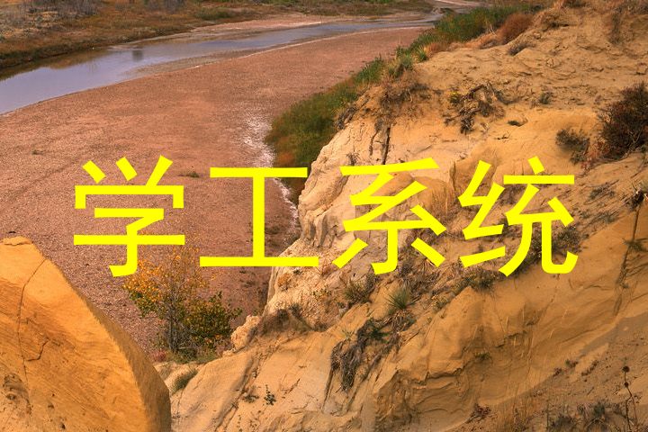 学工系统