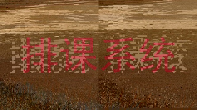 排课系统