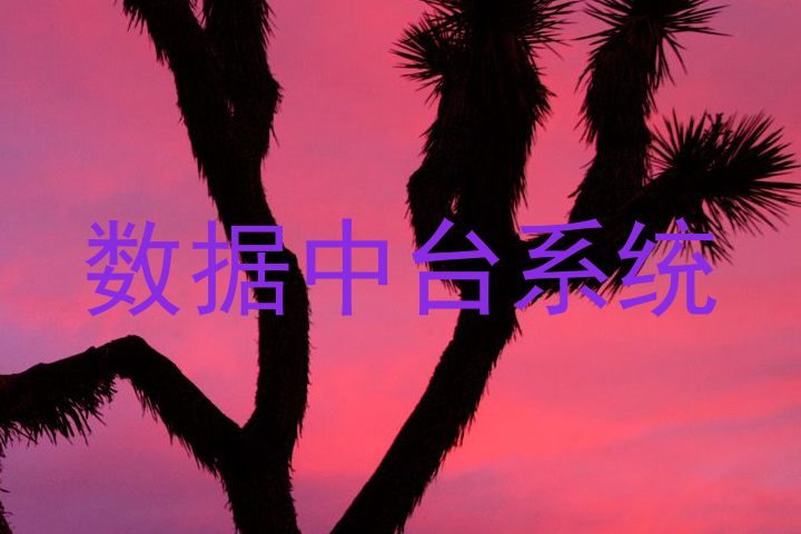 数据中台系统