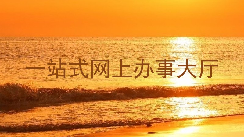 一站式网上办事大厅