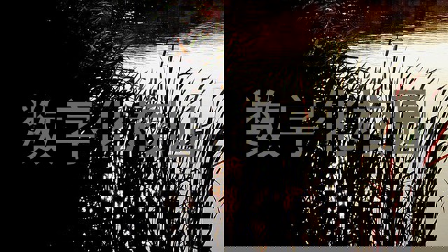 数字化校园
