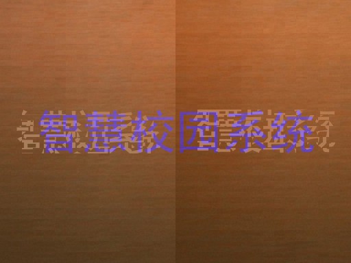 智慧校园系统