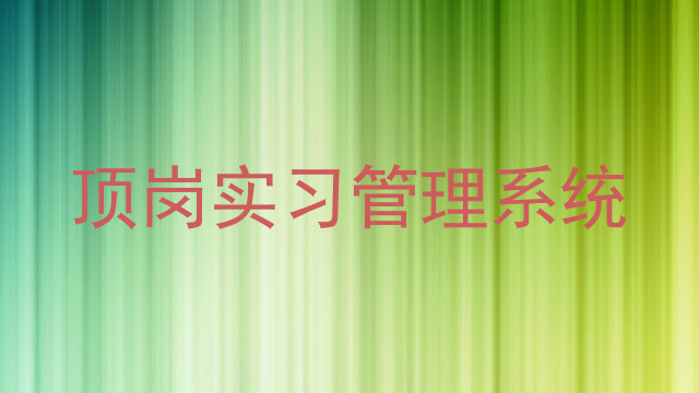 顶岗实习管理系统