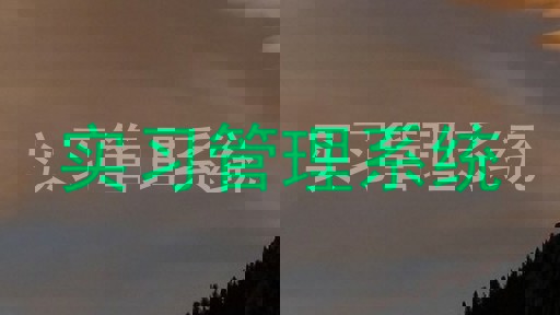实习管理系统