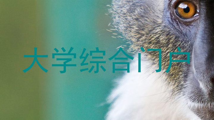 大学综合门户