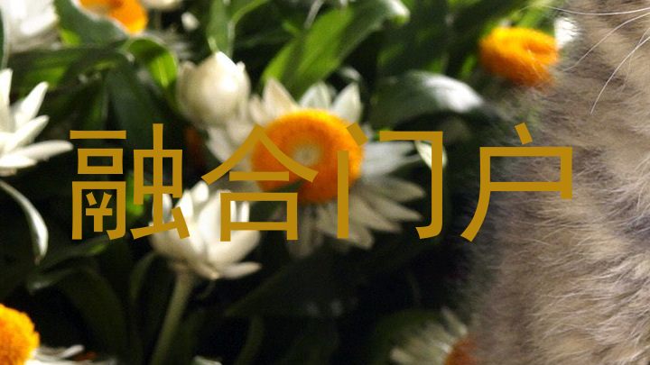融合门户