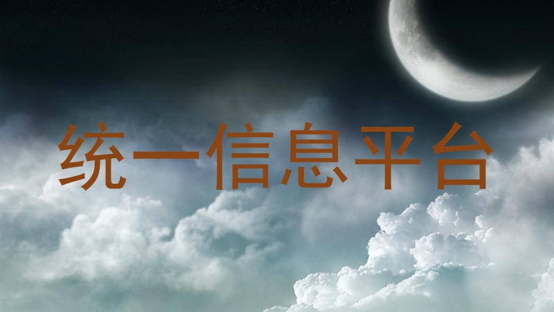 统一信息平台