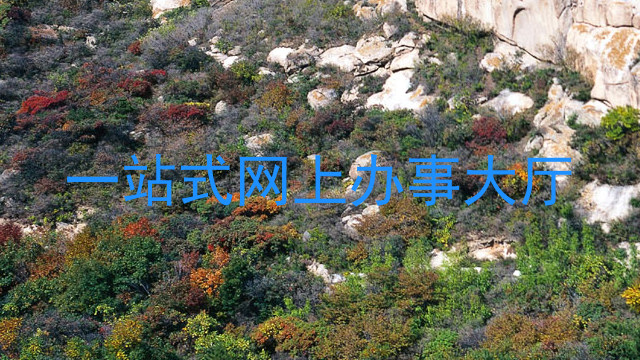 一站式网上办事大厅