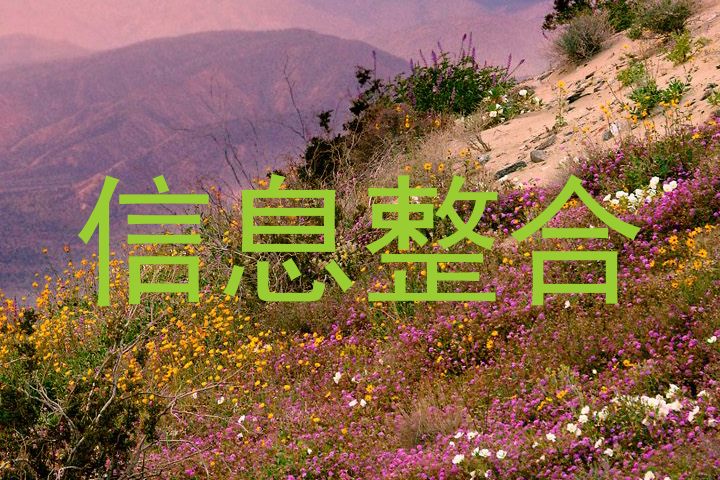 信息整合