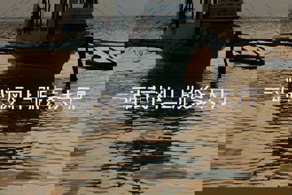 一站式网上服务大厅