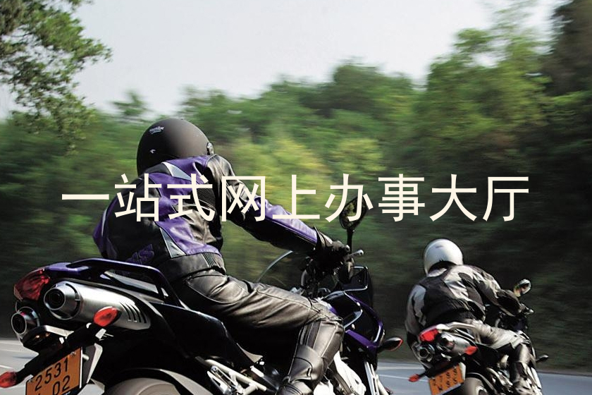 一站式网上办事大厅