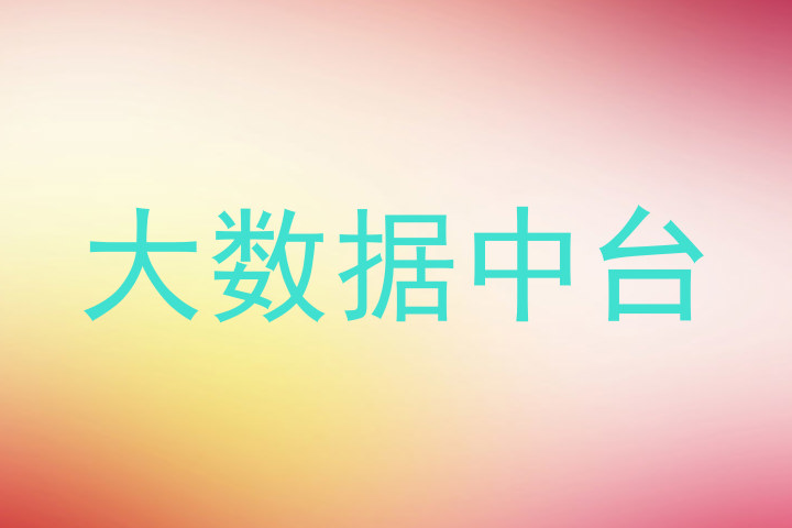 大数据中台