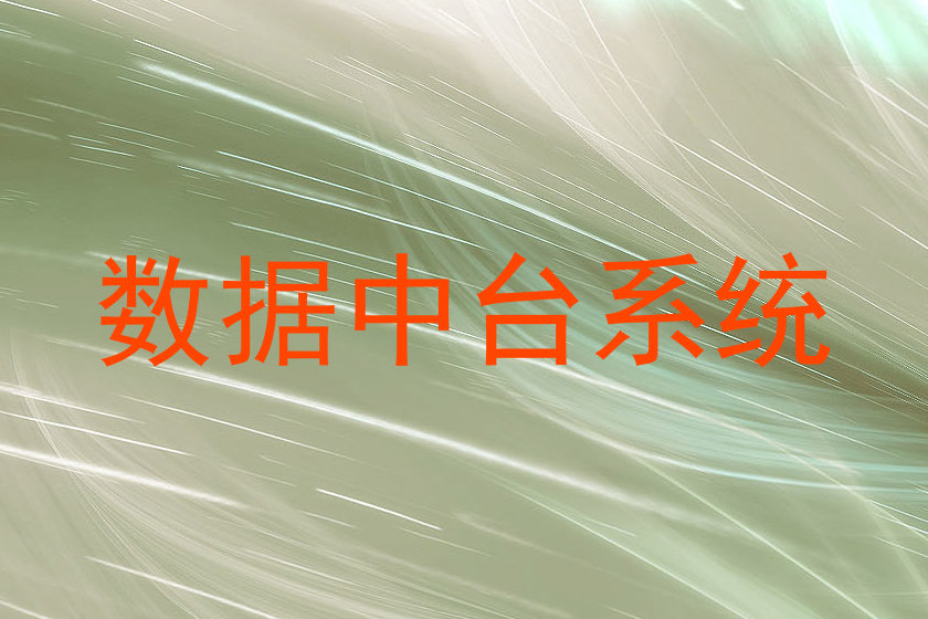 数据中台系统