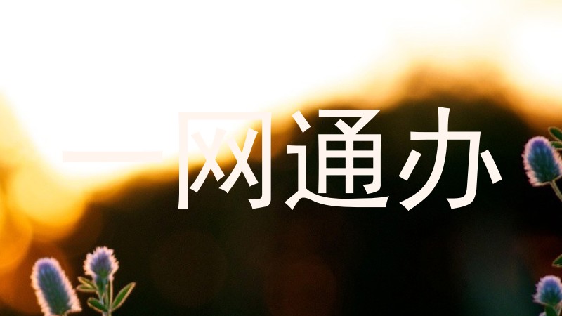 一网通办