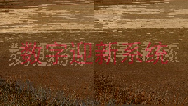 数字迎新系统