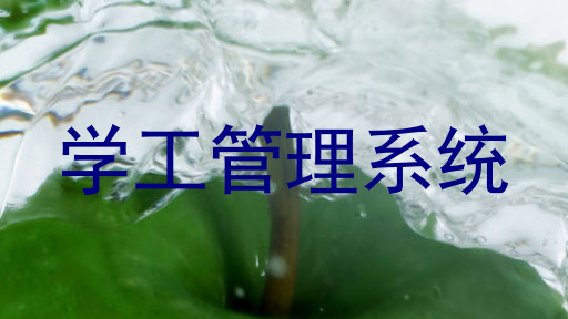 学工管理系统