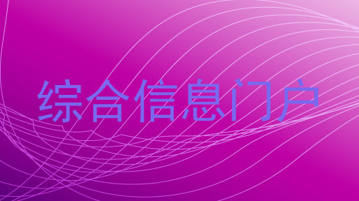 综合信息门户