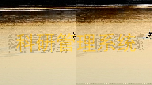 科研管理系统