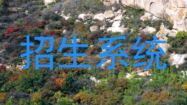 招生系统