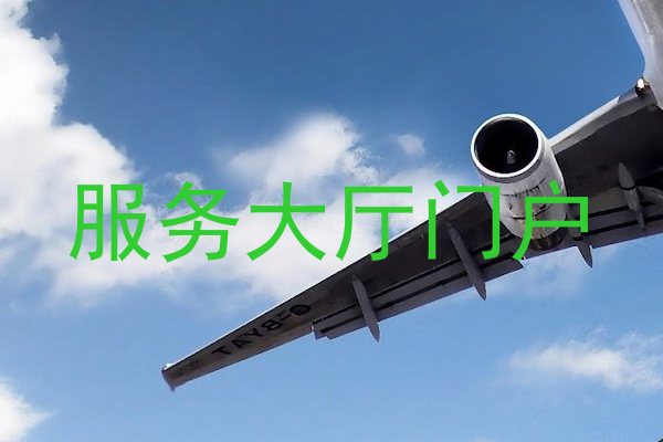 服务大厅门户