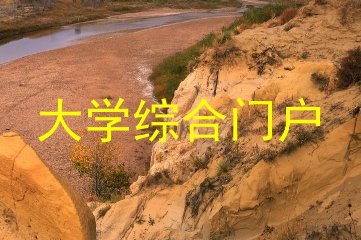 大学综合门户