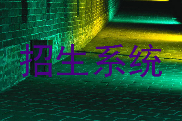 招生系统