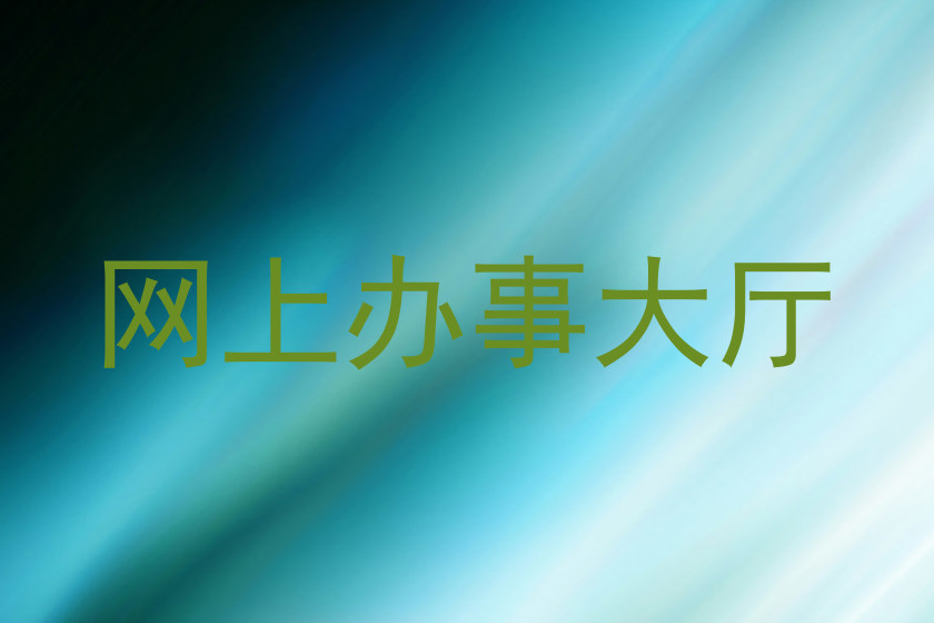网上办事大厅