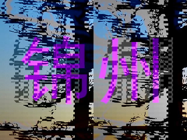 锦州