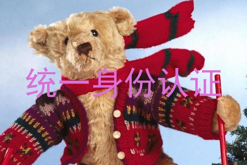统一身份认证