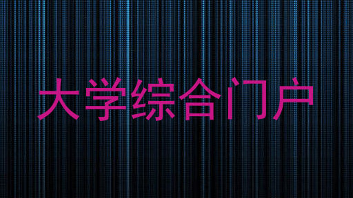 大学综合门户