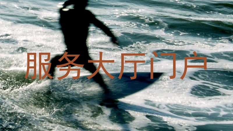 服务大厅门户
