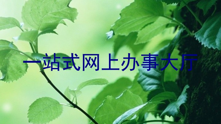 一站式网上办事大厅