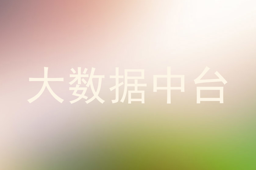大数据中台