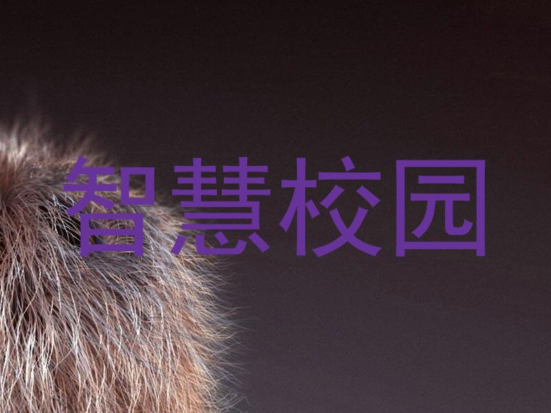 智慧校园