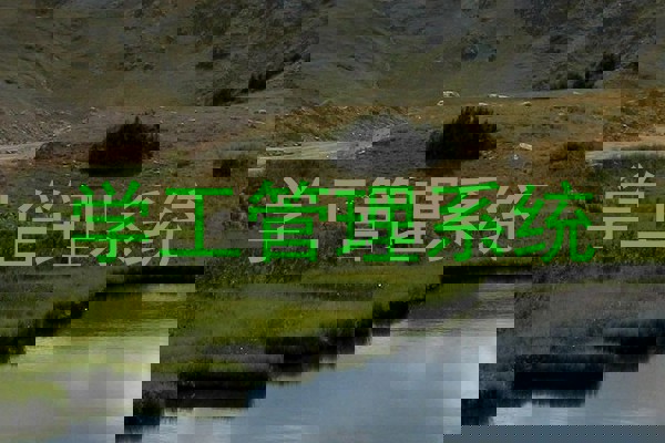 学工管理系统