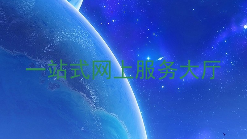 一站式网上服务大厅