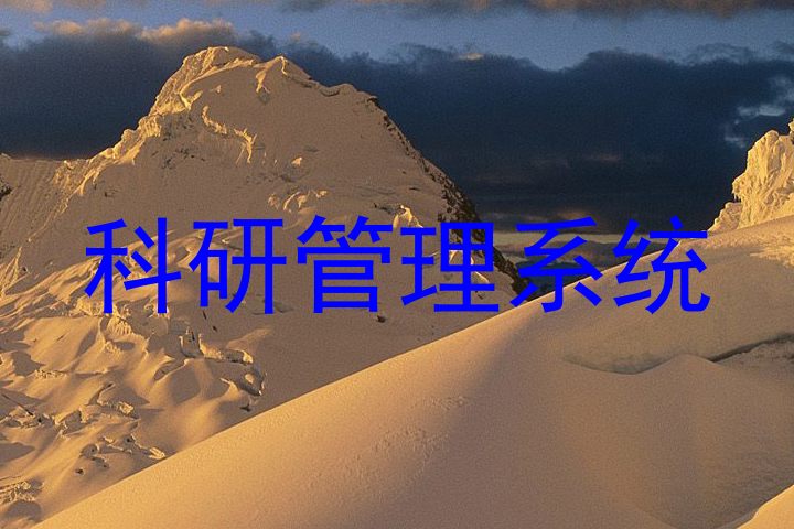 科研管理系统