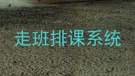 走班排课系统