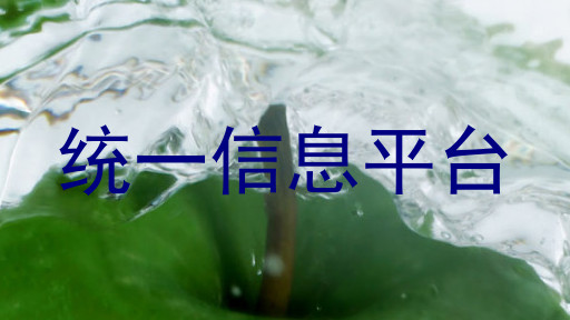 统一信息平台